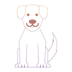 cute dog icon over white background, colorful line design. vector illustration