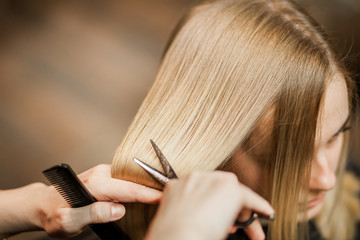 hairdresser stylist cuts with scissors the girl's hair in salon
