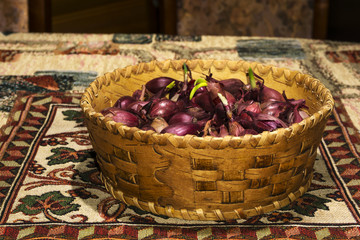 bulbs of red onion, intended for planting in the soil, in a small birch bark basket