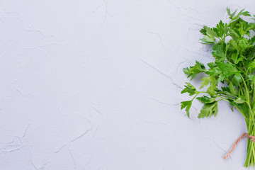 Fresh parsley bunch and copy space. Organic parsley on textured background, text space. Parsley for good health.