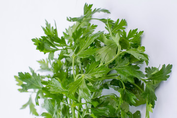 Fresh parsley leaves close up. Spicy nutritious plant. Parsley benefits concept.