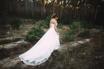 Beautiful bride. Wedding day. Very beautiful bride in a luxurious white wedding dress