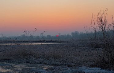 sunshine next to the wild river side in frozy winter morning 