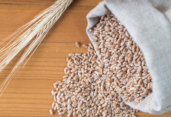 Filled bag of wheat and ears of wheat on a wooden background