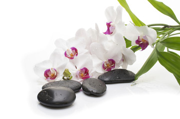 Obraz na płótnie Canvas Spa white orchid with massage stones on white