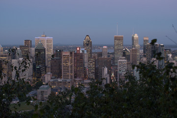 Fototapeta na wymiar Montreal Skyline 5