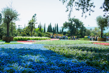 Fototapete bei efototapeten.de bestellen   
