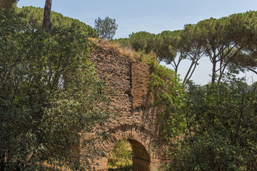 Panoramic view of ruins in Palatine Hill in city of Rome, Italy