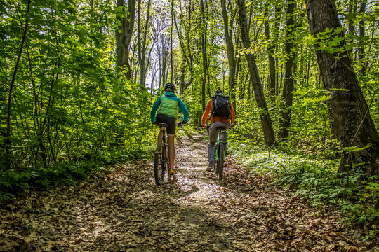 Two bicyclist male and female walk on bicycles on forest road back to camera