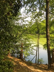 Calmness on the lake