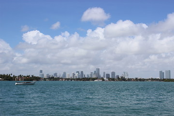Fototapeta premium Miami Landscape