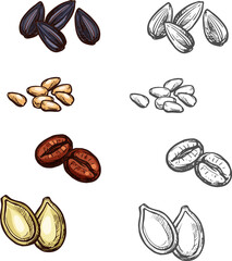 Nuts beans and seeds vector sketch icons