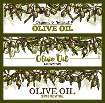Vector extra vrigin olive oil sketch banners