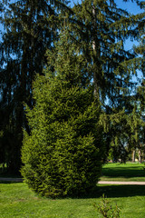 Fototapeta premium Salzburg, Hellbrunn, Salburg, natur, fremdenverkehr