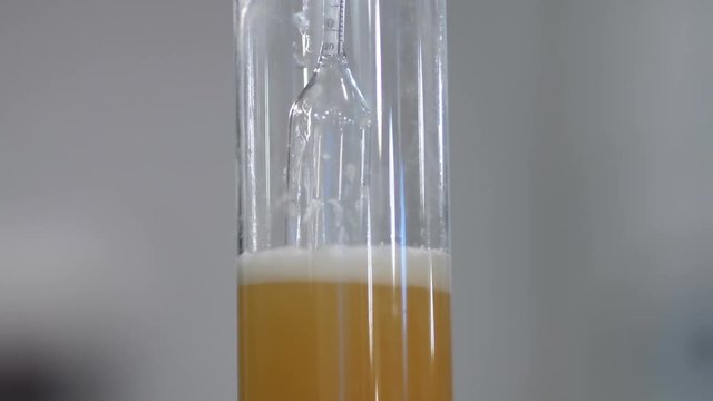 A spinning hydrometer used in homebrewing beer to measure density.