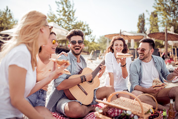 Group of happy young people having a picnic on the beach.