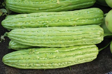 Bitter melon gourd for cooking in market