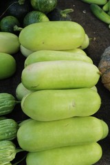 Winter melon for cooking in the market