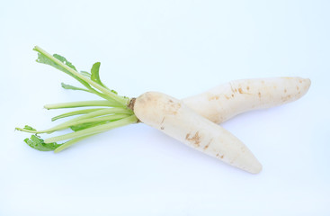 White radish on white background.