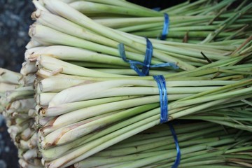 Fresh lemon grass in the market