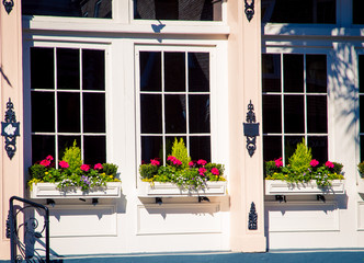 flowers window box Charleston 