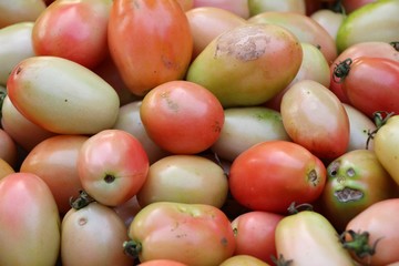 .Fresh tomatoes for cooking in street food