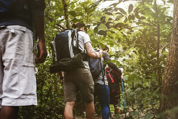 Trekking in a forest