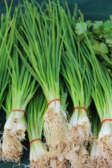 Fresh spring onion in the market