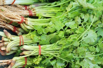 Fresh coriander for cooking in the market
