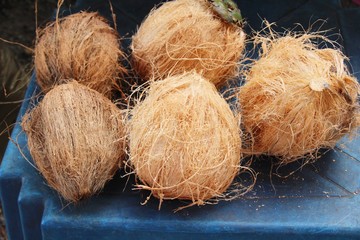 Coconut fruit is delicious at street food