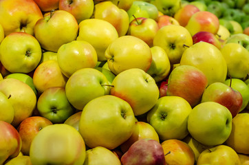 Many apples red yellow organic