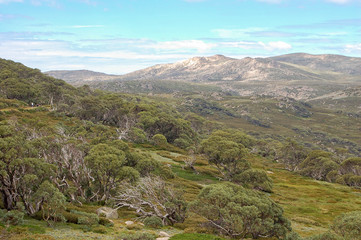 Fototapeta na wymiar View from the Charlotte Pass of the Snowy Mountains in summer - New South Wales, Australia