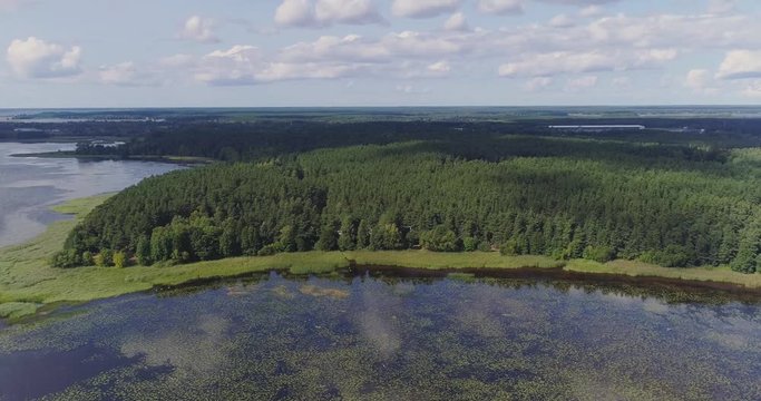 Lake Water lilies seaweed drone flight and pine forest