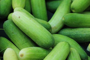 Fresh cucumbers for cooking in the market