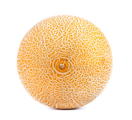 Cantaloupe melon isolated on white background. Juicy and sweet cantaloupe melon isolated on white background.