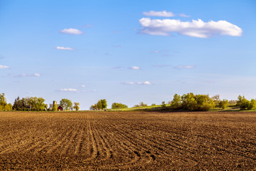 American Farmland With Blue Sky