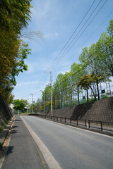 東泉丘　道路