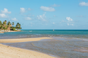 Tropical island with sandy beach