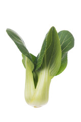 Pak Choy, fresh chinese cabbage on white background