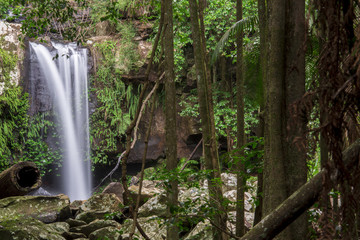 Curtis Falls located in Mount Tamborine during the day.