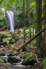 Obraz premium Curtis Falls located in Mount Tamborine during the day.