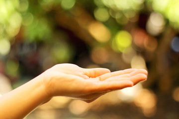 Human open empty hands with palms up on nature bokeh background.