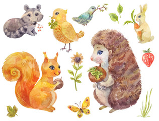 Cute watercolor forest animals. Vintage illustration of fluffy pets
