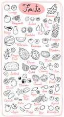 Set drawings of fruits for design menus, recipes and packages product. Vector Illustration