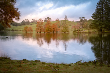 Fototapeta na wymiar Autumn leaves on trees across lake