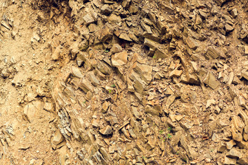 stone slate in ground background