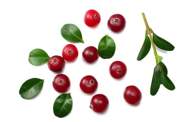 Cranberry with green leaves isolated on white background. top view
