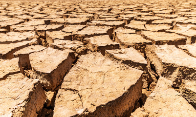 Cracked Earth in Panama, Parque Nacional de Sarigua, Desierto de Sarigua 