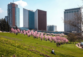 Spring in Vilnius © vladuzn