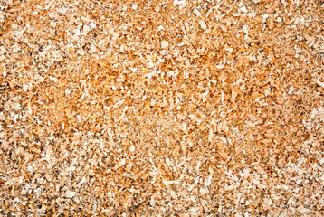 Wood sawdust